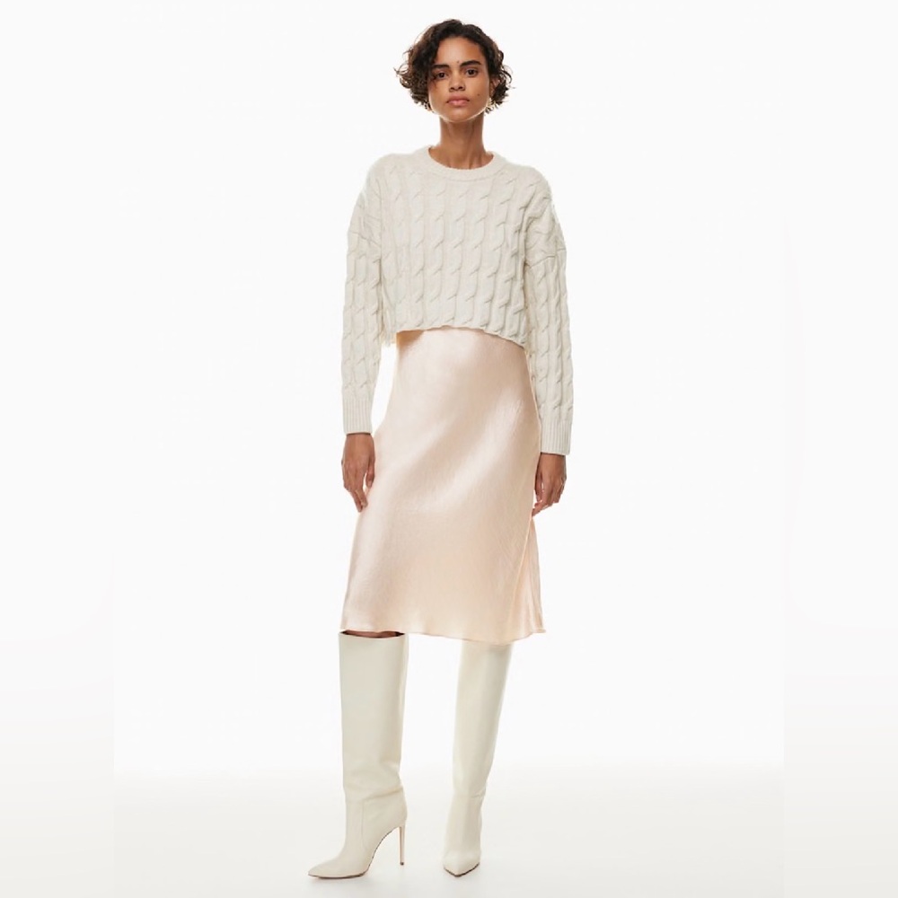 Aritzia Babaton Slip Skirt Denude
